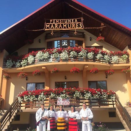 Pensiunea Maramures Ocna Şugatag Exterior foto