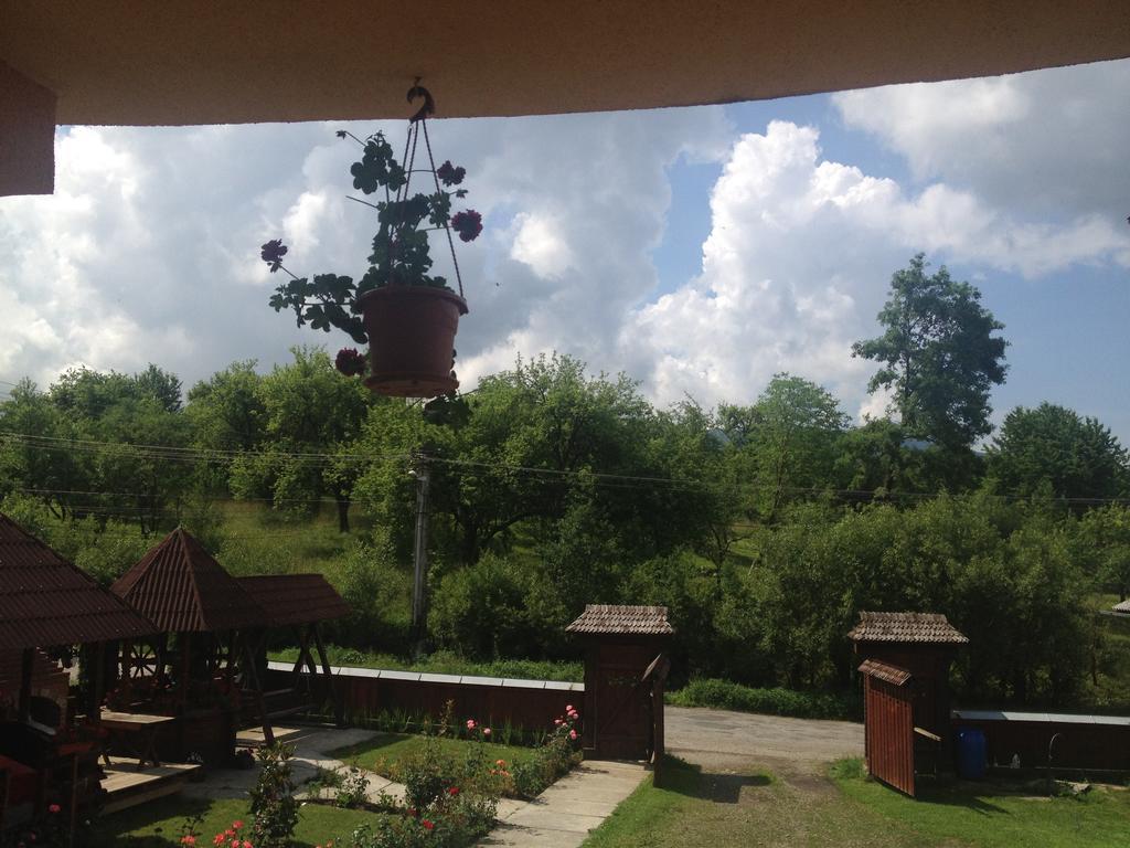 Pensiunea Maramures Ocna Şugatag Exterior foto