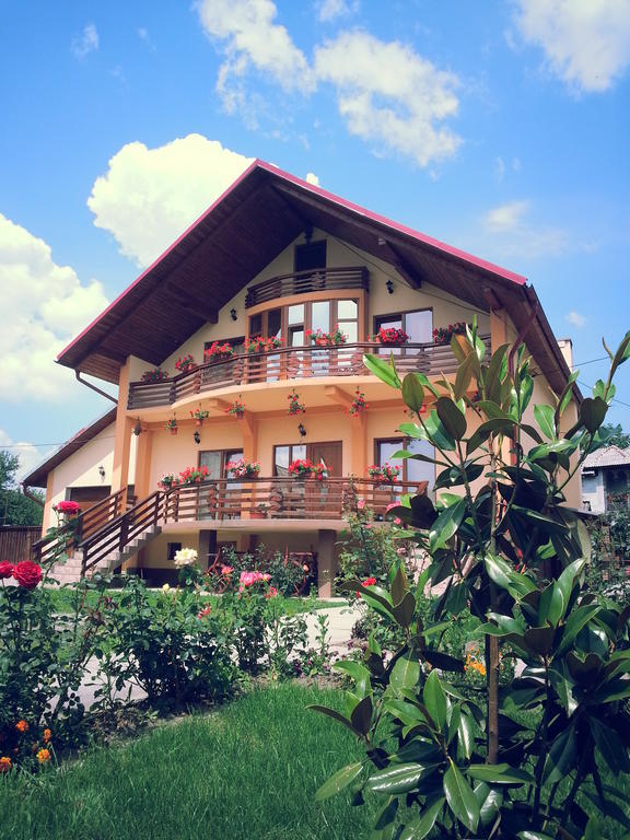 Pensiunea Maramures Ocna Şugatag Exterior foto