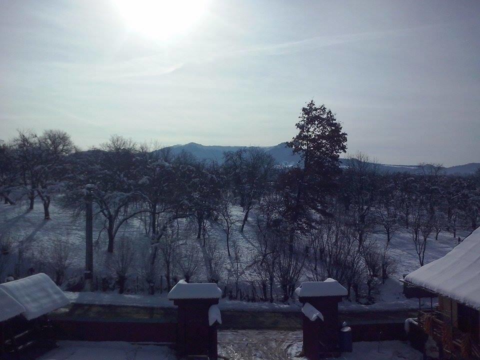 Pensiunea Maramures Ocna Şugatag Exterior foto
